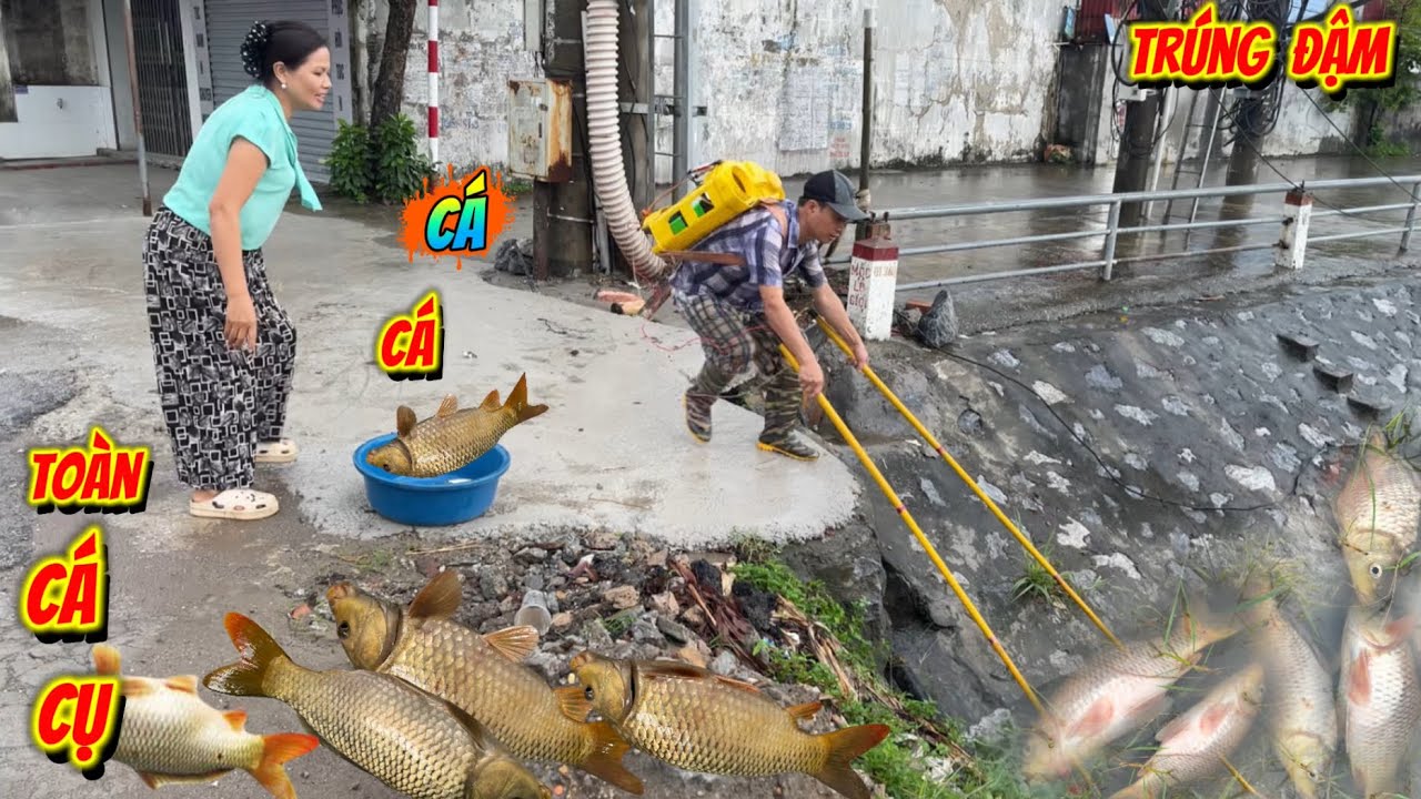Làm Nghề Kích Cá kiếm Tiền Triệu 1 Ngày Là Có Thật - 2 Chị Em Trúng Đậm