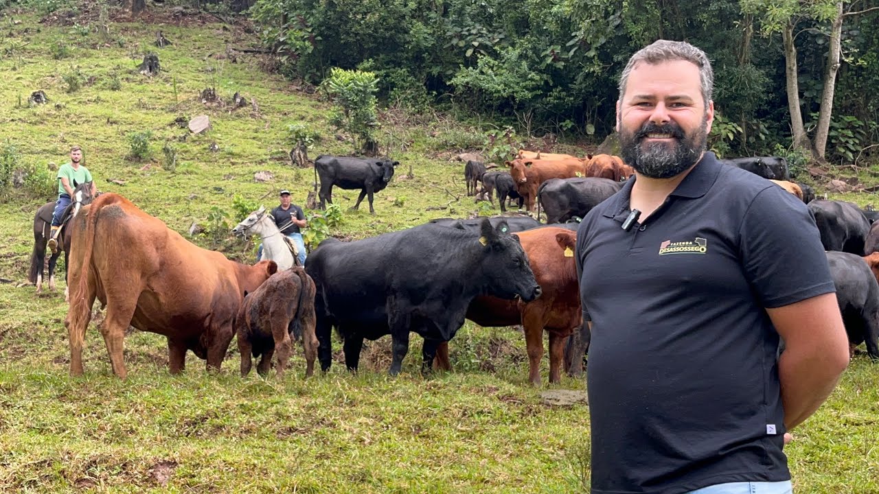 ANGUS - DEIXOU A CIDADE PARA CRIAR BOVINOS -FELIPE DE CONCÓRDIA
