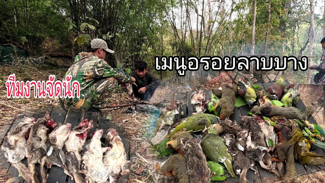 เสียดายยิงสัตว์ใหญ่