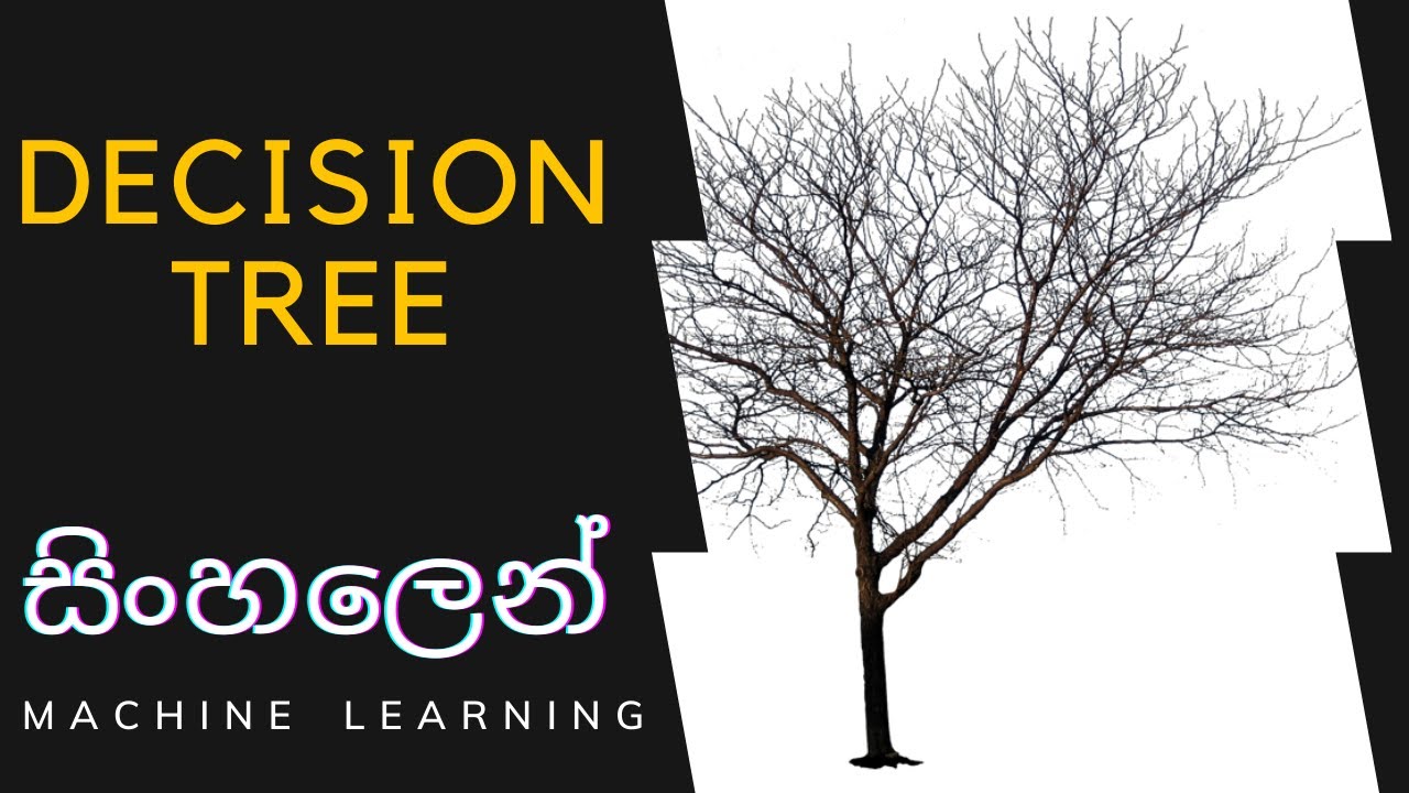 Decision Tree Algorithm | Sinhala