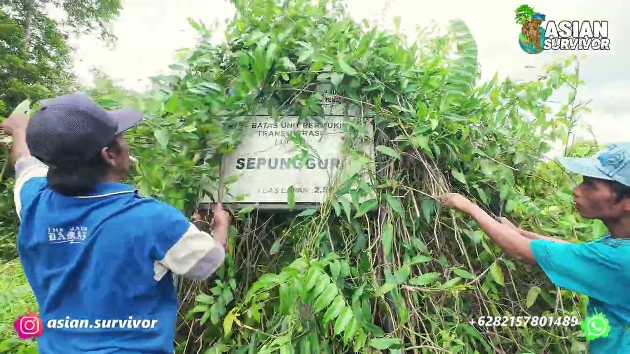 MENCARI SPOT MANCING DISEKITAR LAHAN PAK SUDIWANI