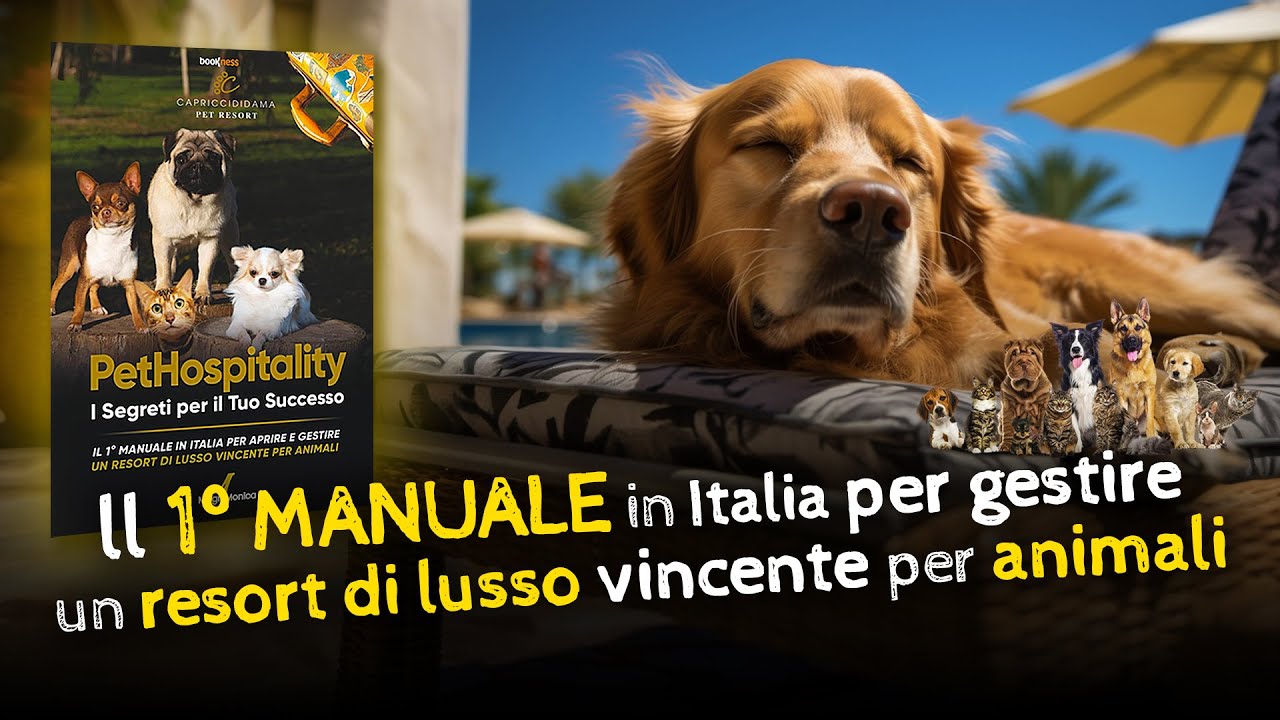 Monica Magri e i segreti del Pet Hospitality