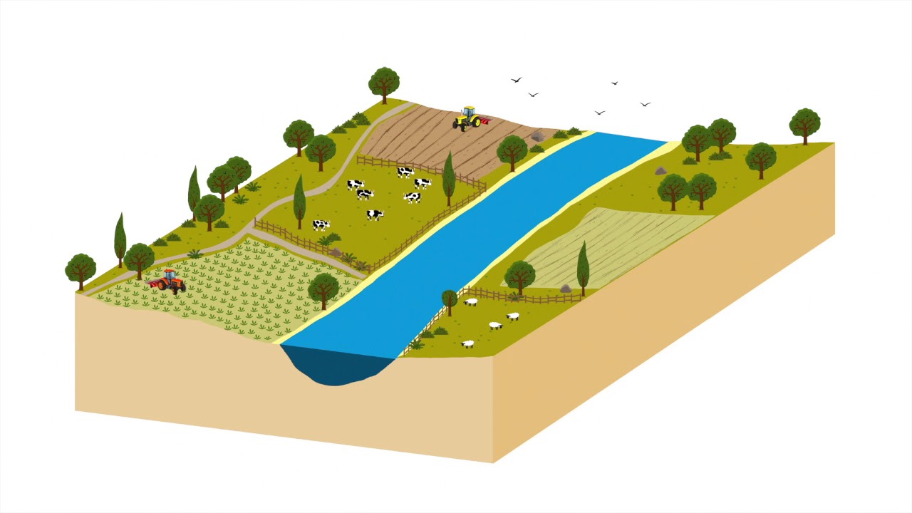 Travaux de restauration de la rivière Hommée