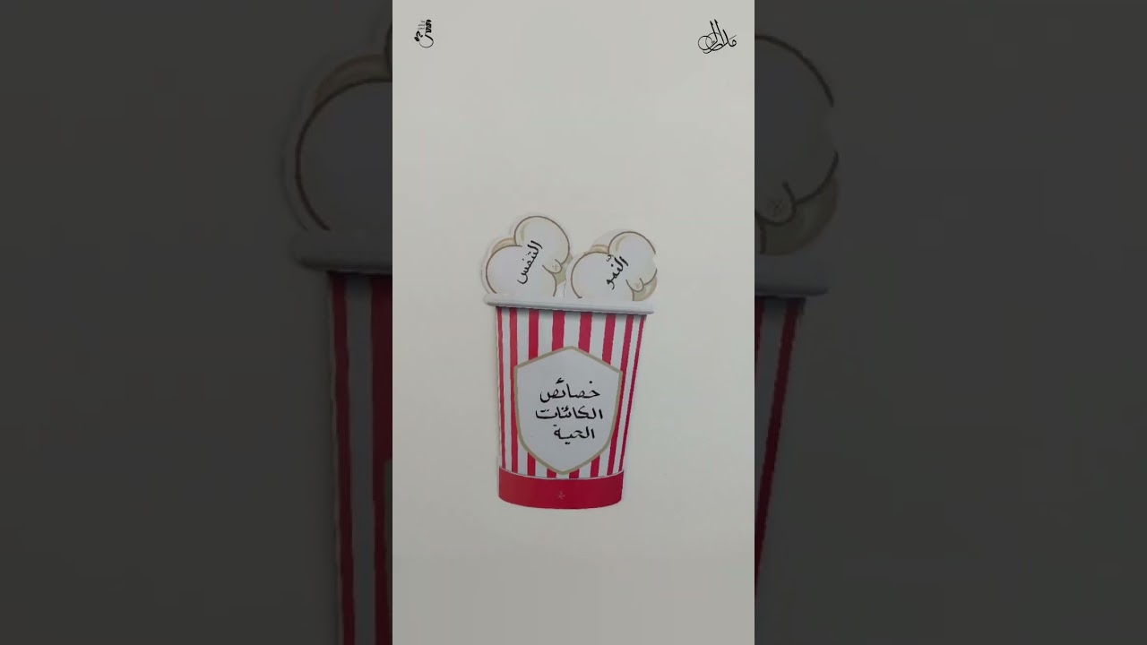 إستراتيجية البوب كورن🍿