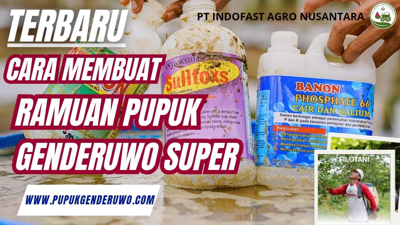 TERBARU CARA MEMBUAT RAMUAN PUPUK GENDERUWO SUPER - HEMAT PUPUK KIMIA HINGGA 75%