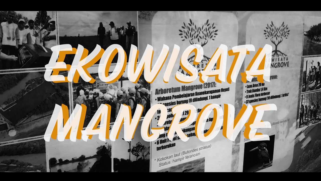 Explore Indramayu: Hutan Mangrove