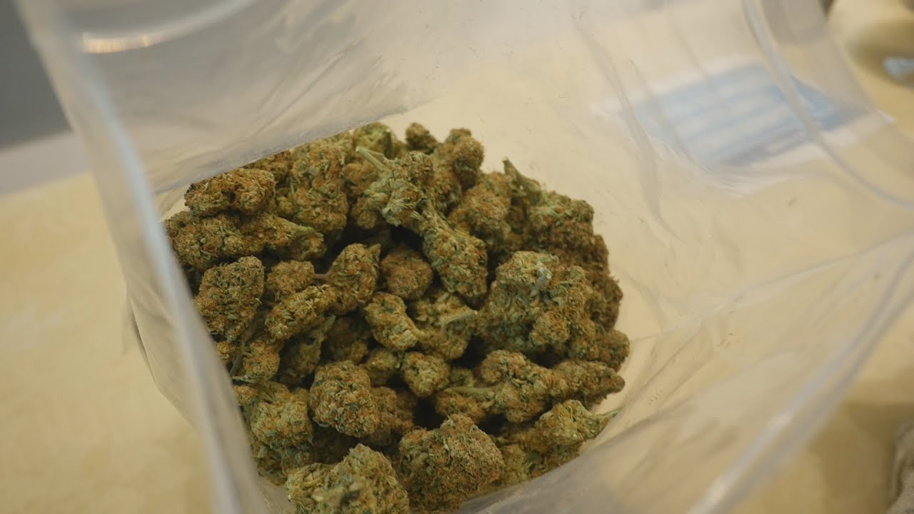 All Kind Shop Tour. A Look Inside a Maine Medical Marijuana Dispensary.