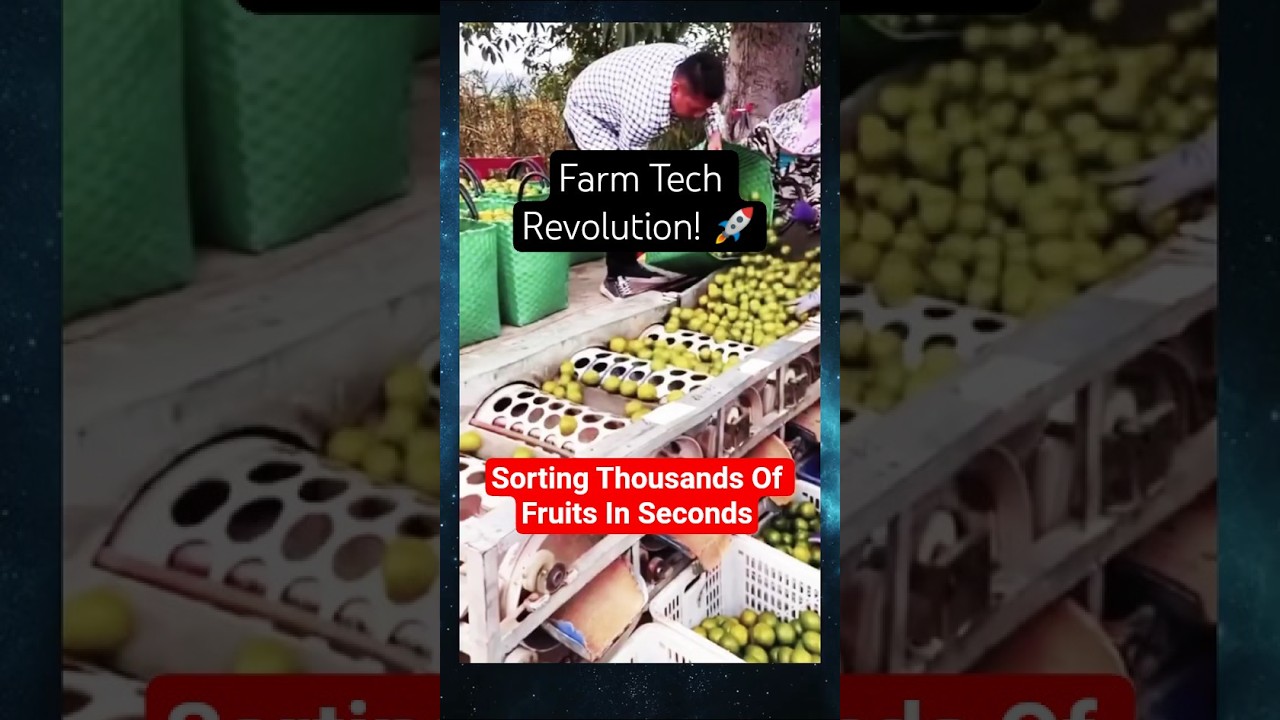 One Small Machine, Thousands of Fruits Saved! 🍊 Genius Farm Hack