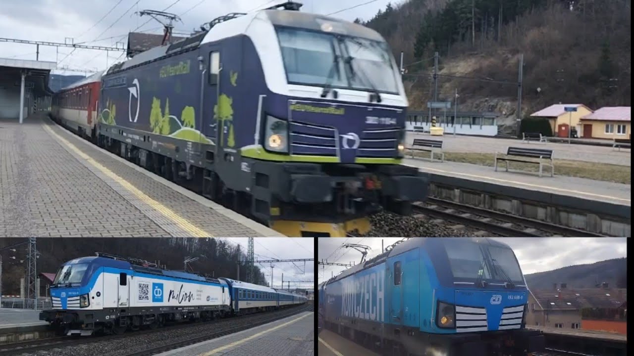 Vlaky Ústí nad Orlicí a okolí 27.1.2024 //!Baklažán!//