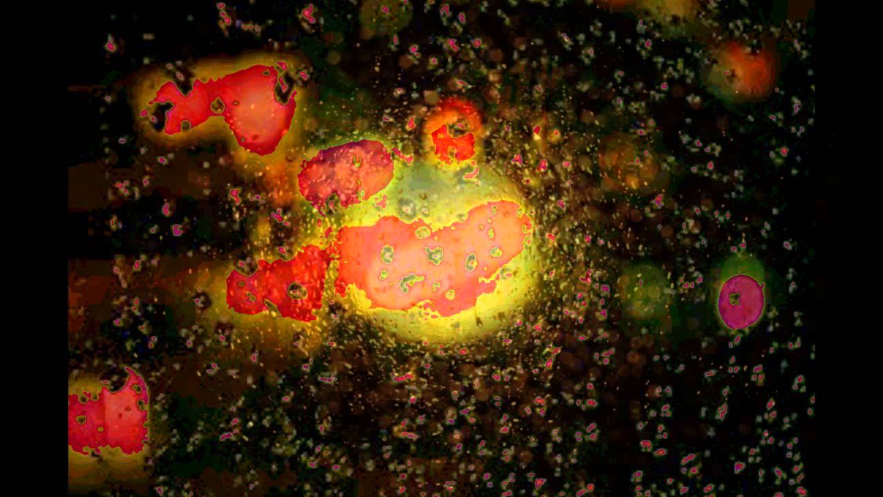 DISCOLOR Psychedelic rain