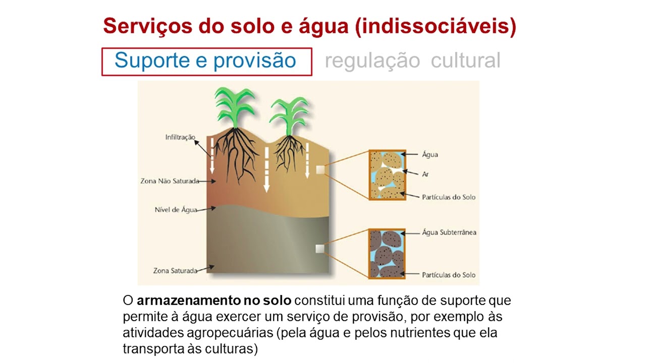 Valora&ccedil;&atilde;o da &aacute;gua como servi&ccedil;o ambiental