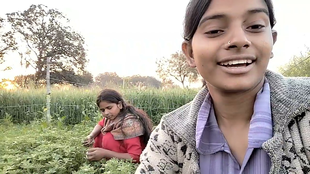 Khet Mein Methi churate hue video