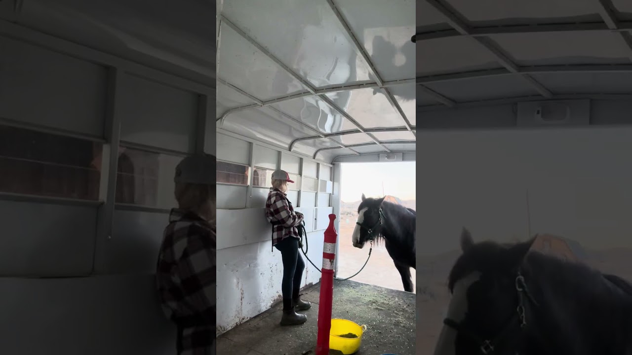 More trailer training with Bree.