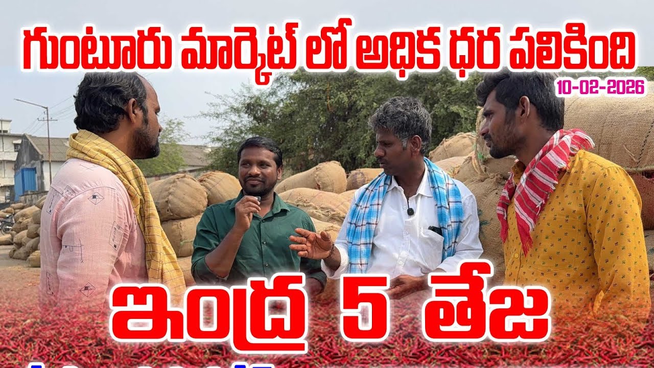 #mirapalo #gunturmirchirates #indra5 #teja #topteja #bestteja #2026 #7093798517 