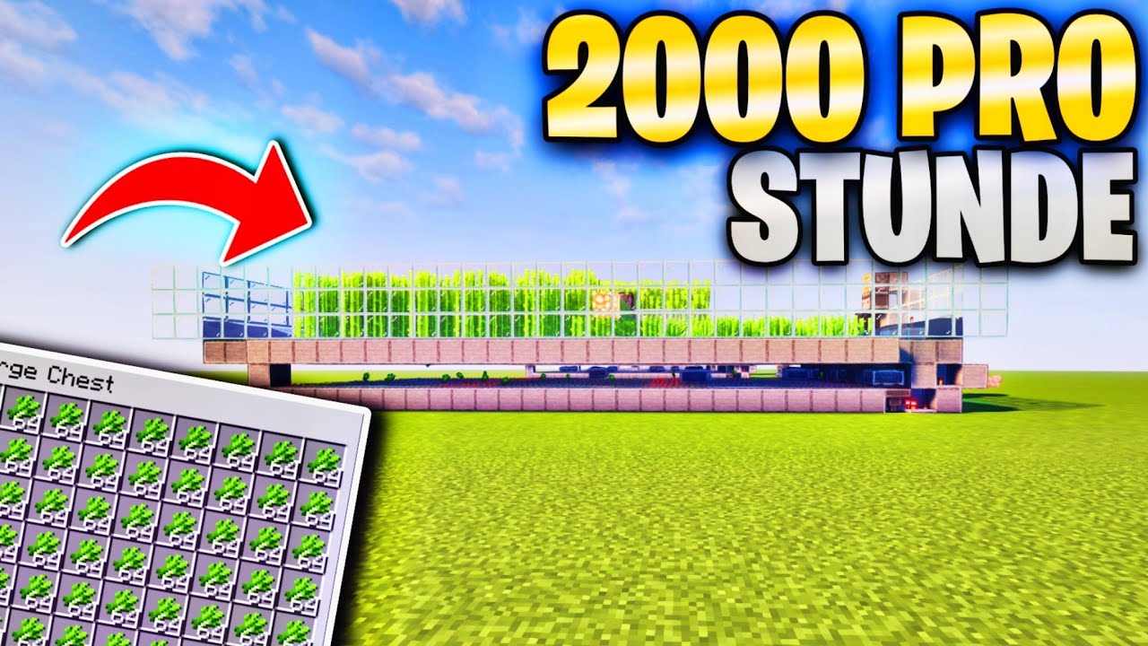 SO baust DU die BESTE ZUCKERROHR FARM in Minecraft