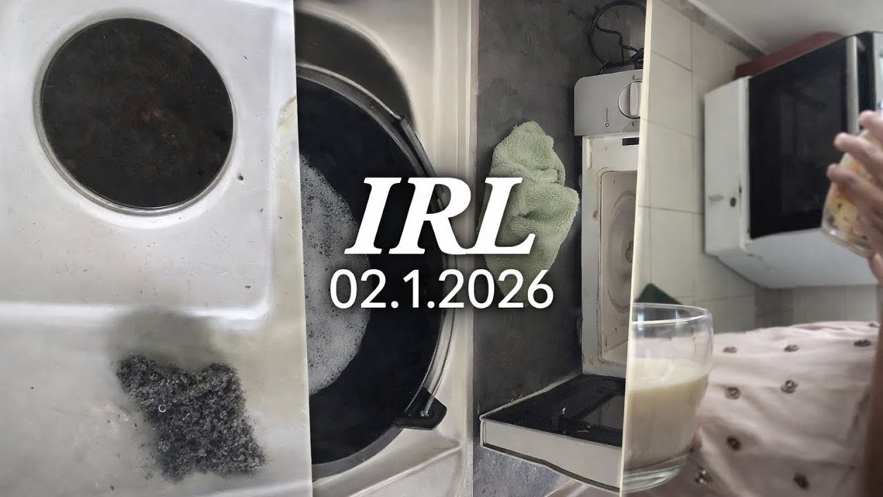 IRL Late Lunch | Restes, faim et moment calme 