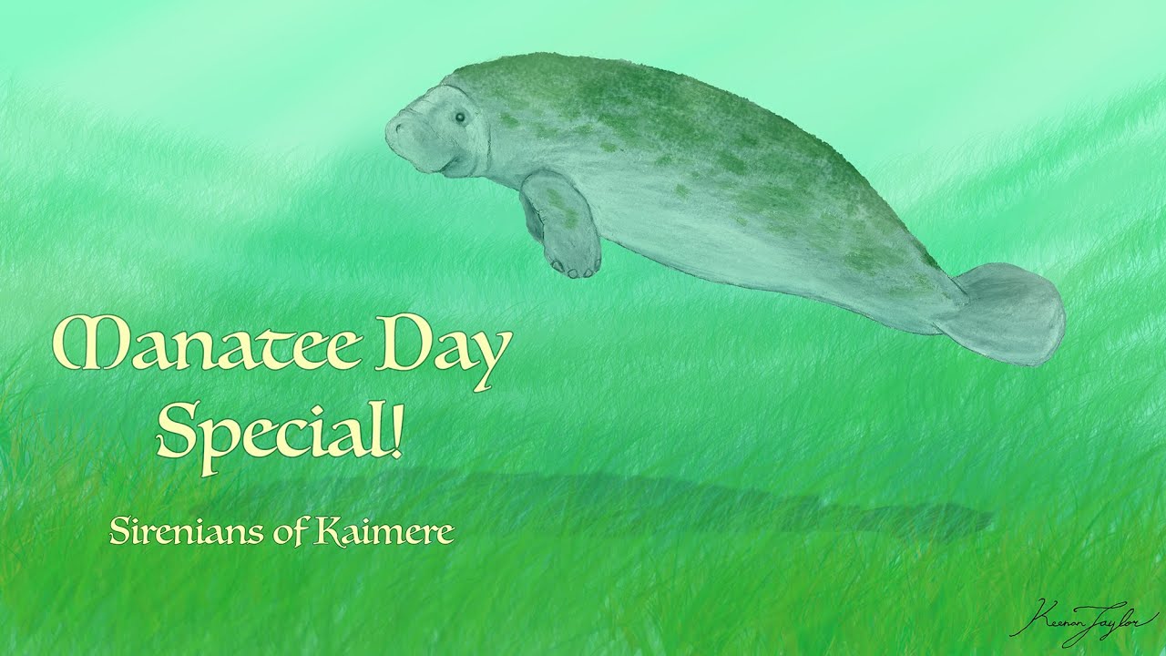 Manatee Appreciation Day Special! Sirenians of Kaimere