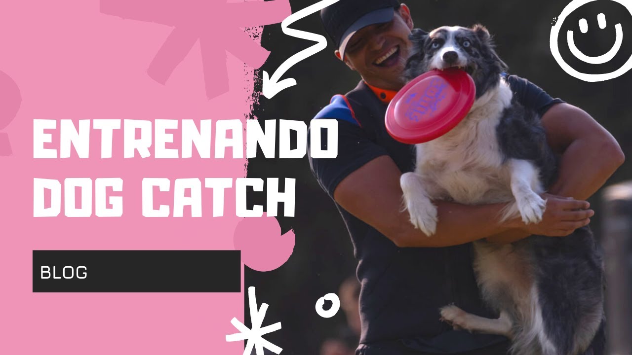 ENTRENANDO DOG CATCH EN DISC DOG