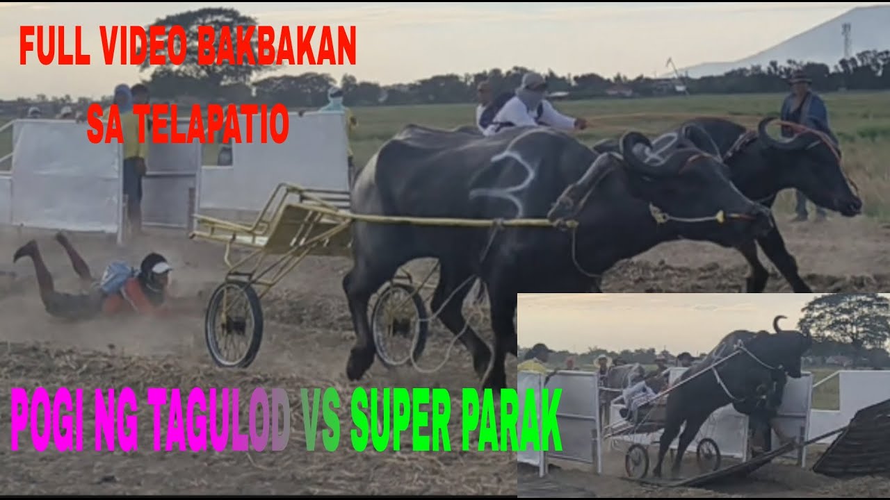 POGI NG TAGULOD VS SUPER PARAK FULL VIDEO BAKBAKAN SA TELAPATIO SAN ELDIFONSO BULACAN  MARCH 30 2025