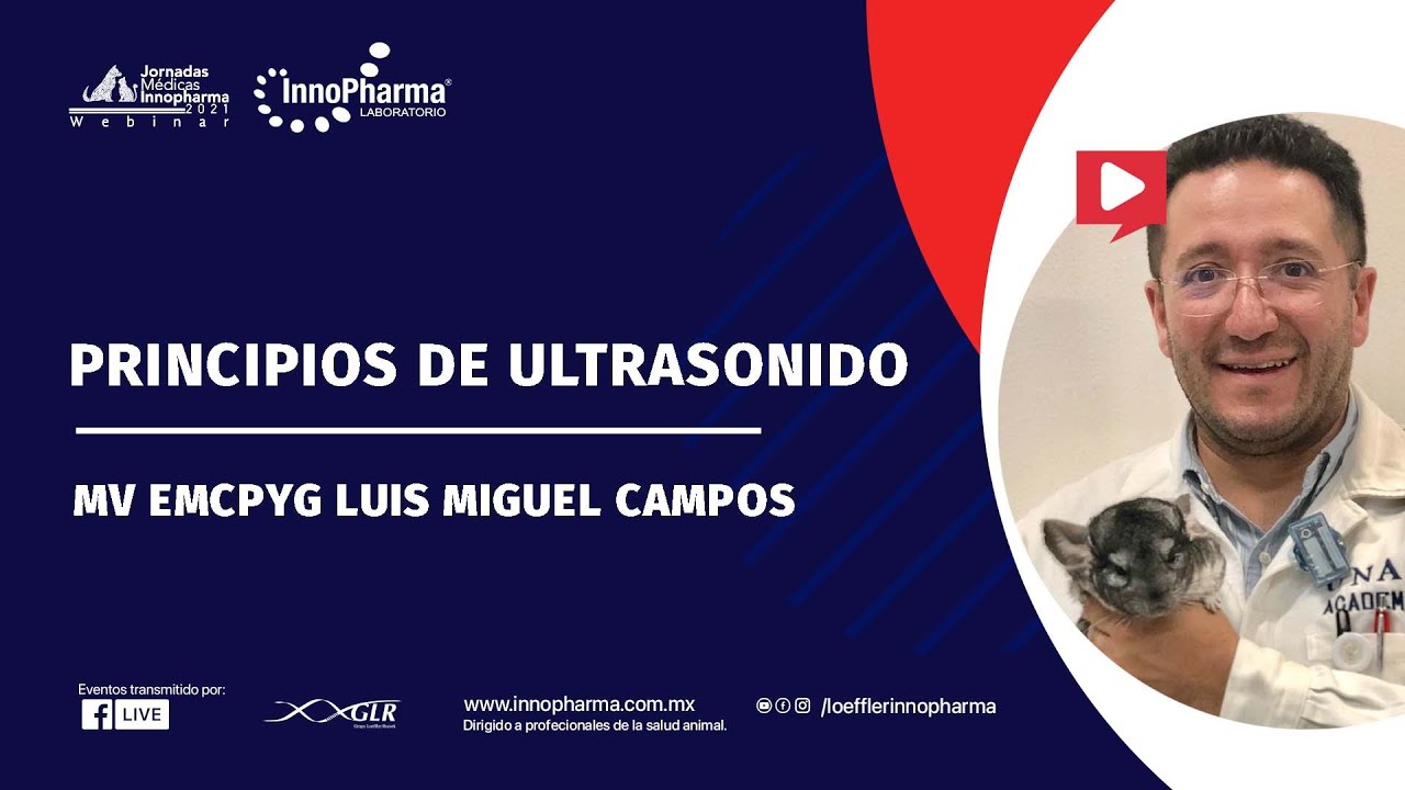 Principios de ultrasonido Loeffler InnoPharma webinar 100