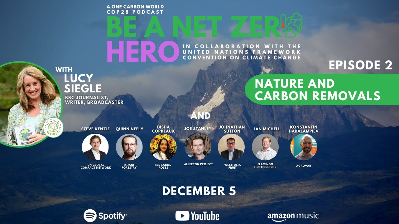 Nature and Carbon Removals | Be A Net Zero Hero PODCAST