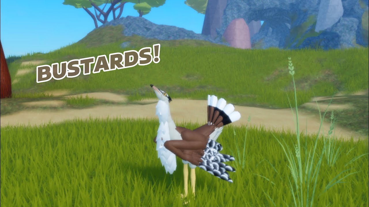 Bustards and lab!!/Feather Family update