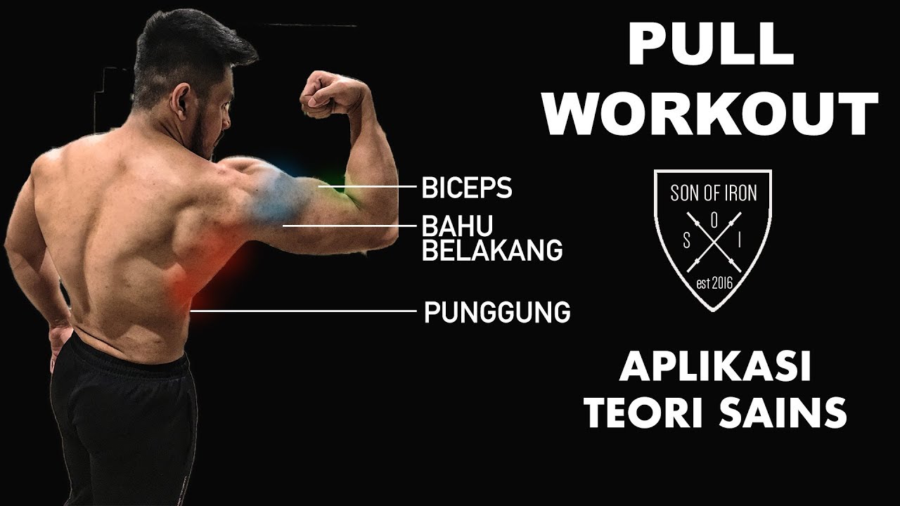 LATIHAN PULL WORKOUT APLIKASI SAINS || PUNGGUNG, BICEPS, REAR DELTS