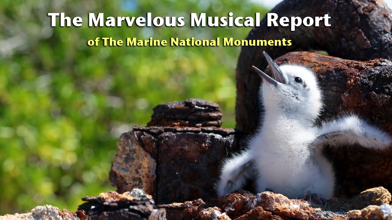 The Marvelous Musical Report of the Marine National Monuments
