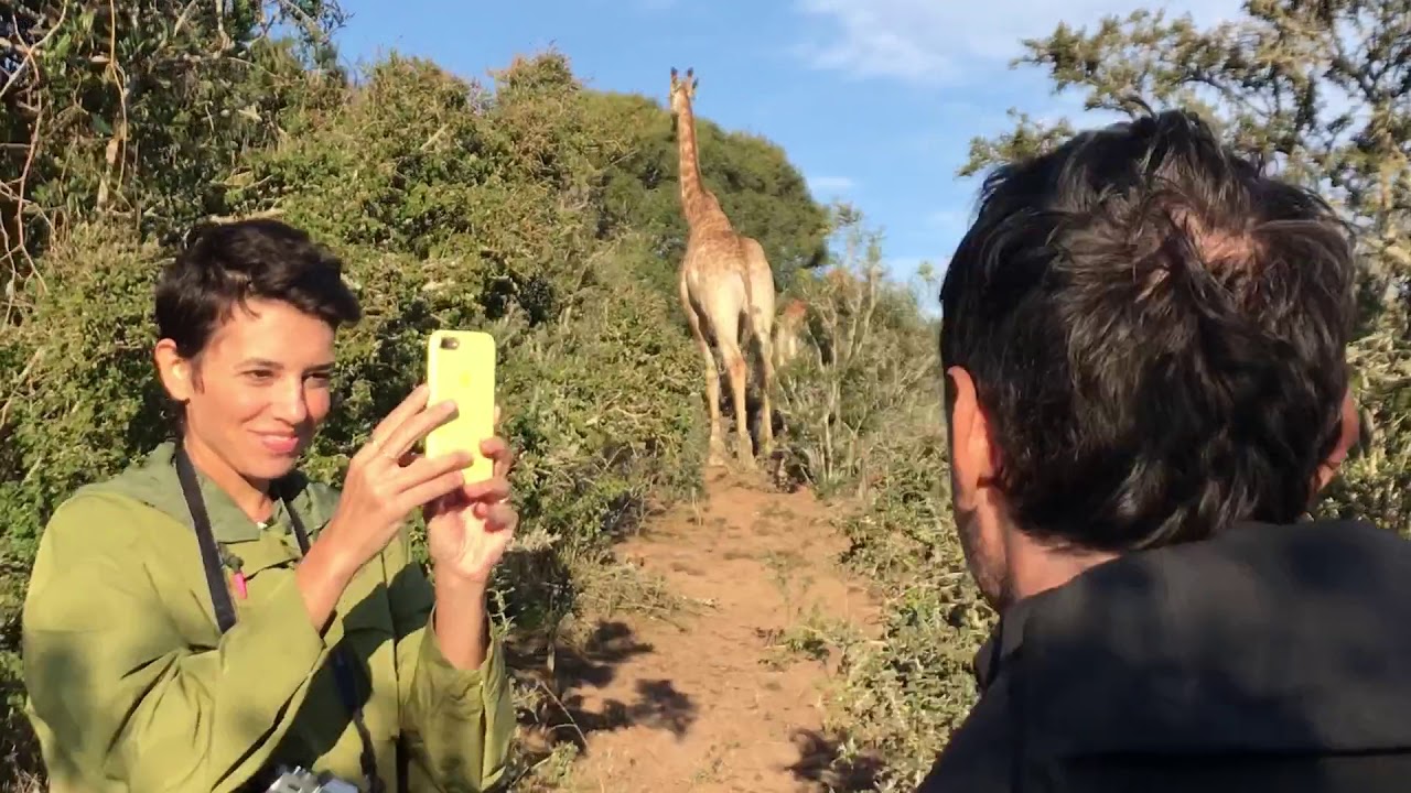 Giraffe Walking Safaris - Gianni and Ilde