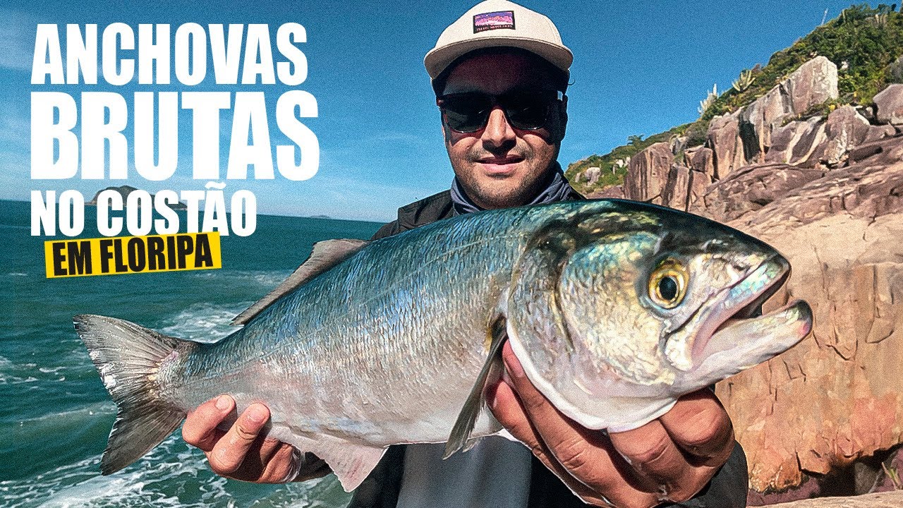 Fomos atrás das anchovas e saiu as brutas! Pescaria de costão em Florianópolis com muita ação.
