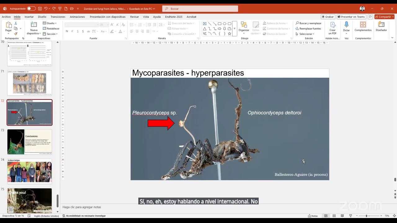 STEM Week 2026 - Zombie-ant fungi from Jalisco