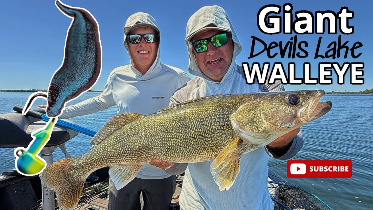 Giant Devils Lake Walleye | Summer Hogs