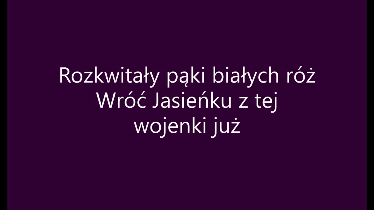 Rozkwitały pąki białych róż (tekst)