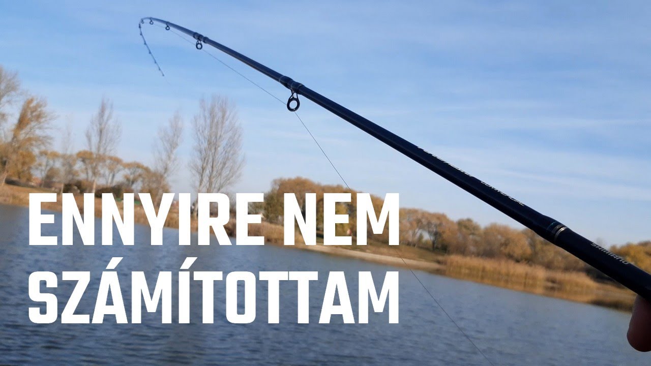 Pontyozás picker bottal, nagyon a szezon végén | Ponty horgászat