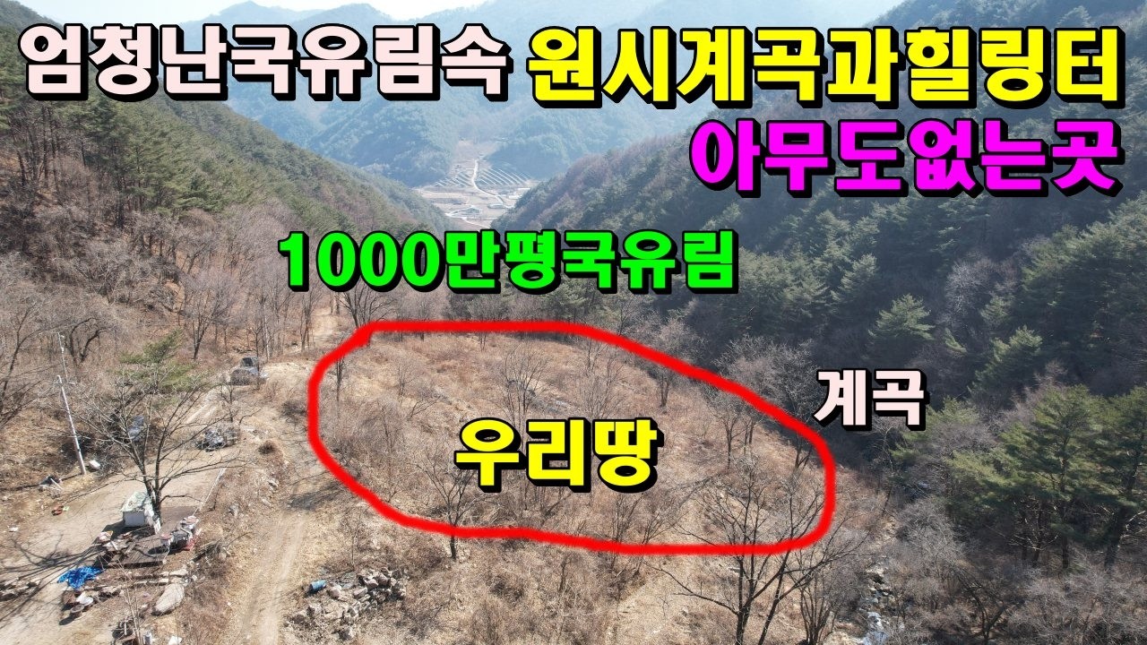 수천만평국유림속 원시계곡과 아무도없는곳/남향의체류형쉼터/영월부동산매매/영월토지매매