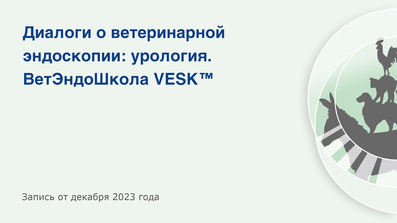 Диалоги о ветеринарной эндоскопии: урология. ВетЭндоШкола VESK&trade;
