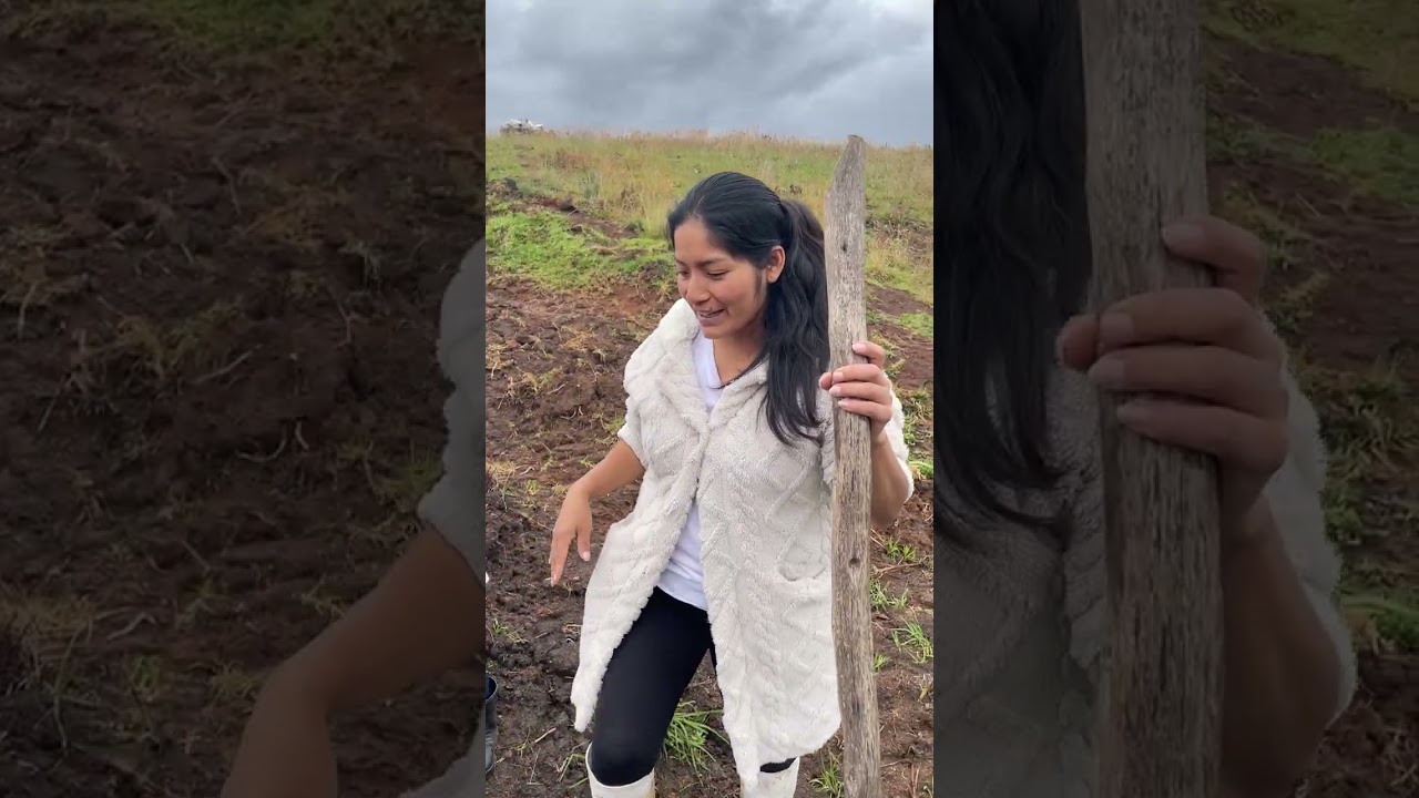 Esto es lo que hago en mi bello campo