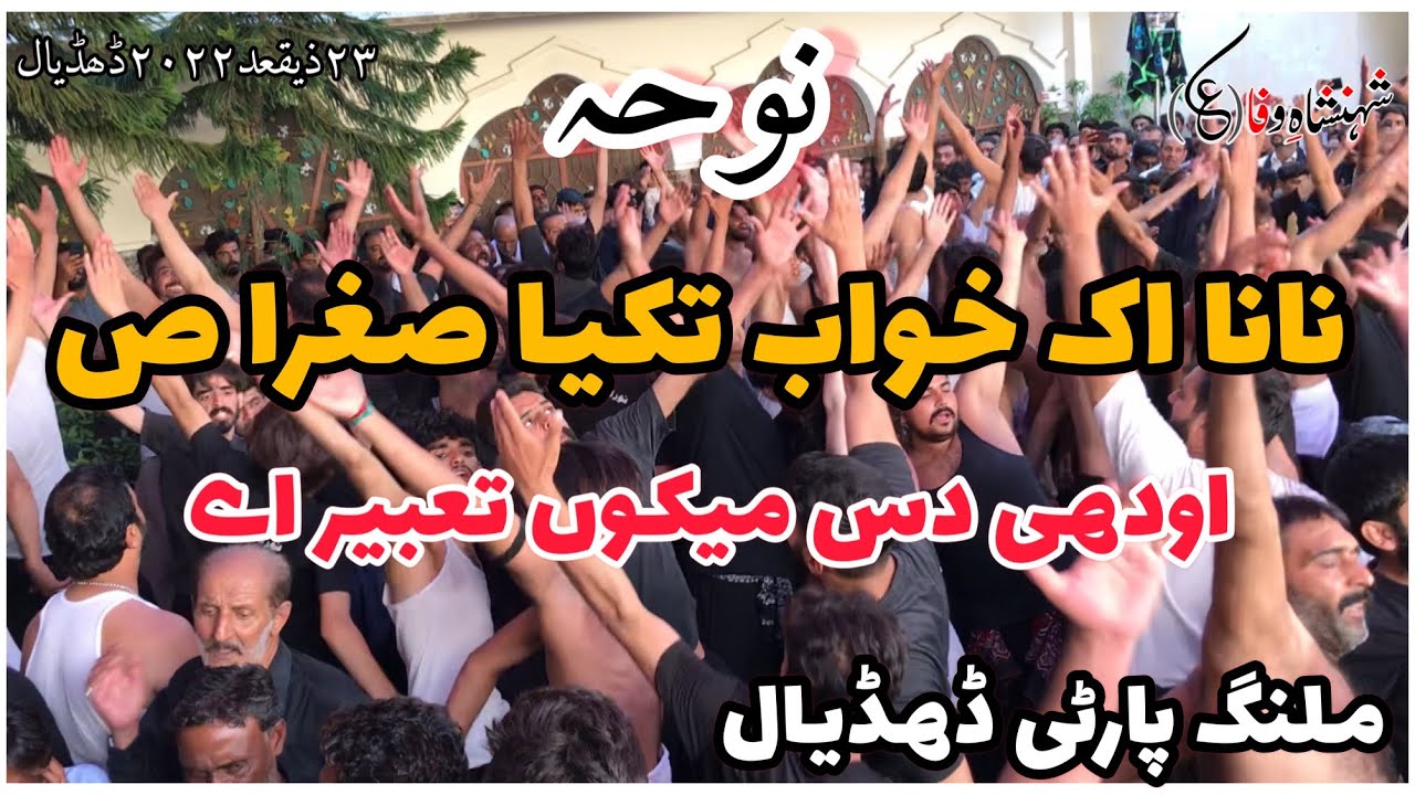 Nana Aik khoub Takya Sughra Sa ||Noha dhudial party ||23zeqad dhudial