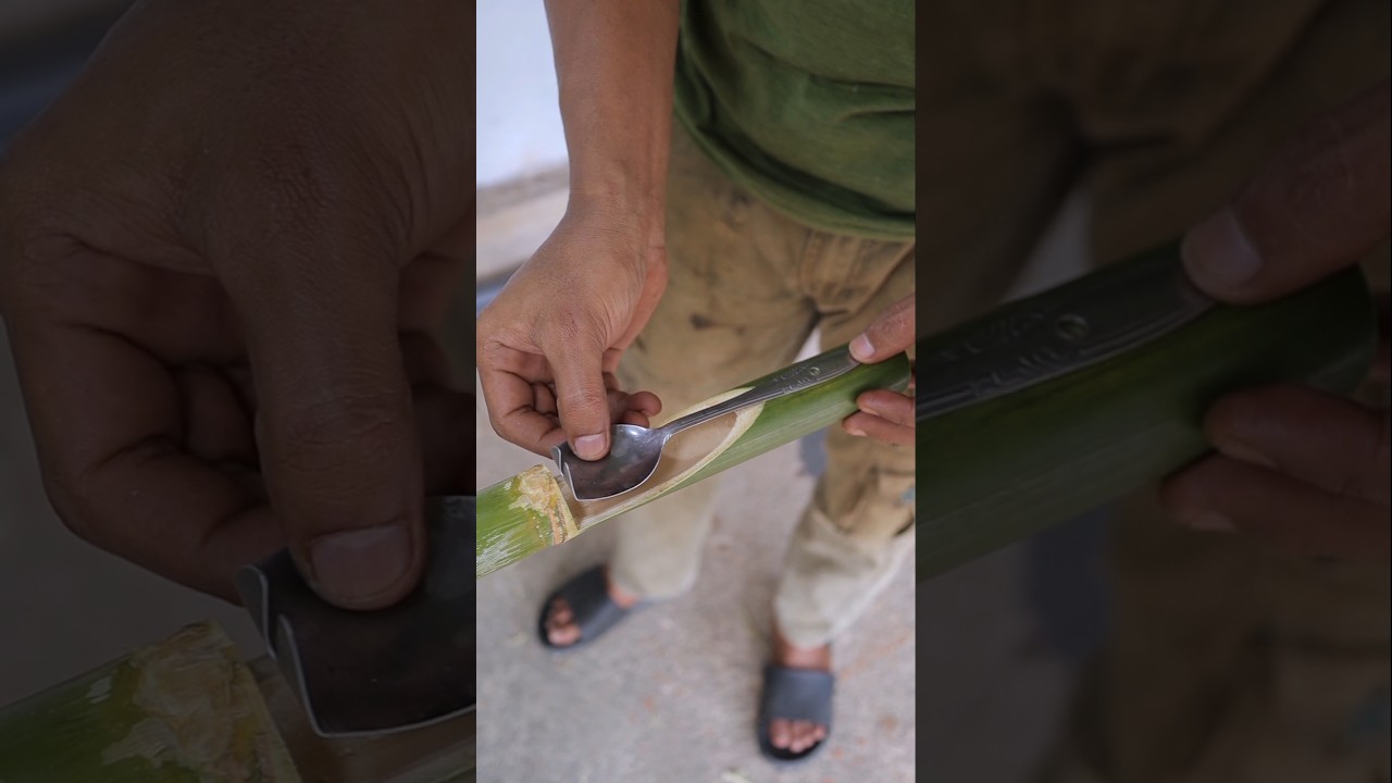 Green Bamboo Creative Idea
