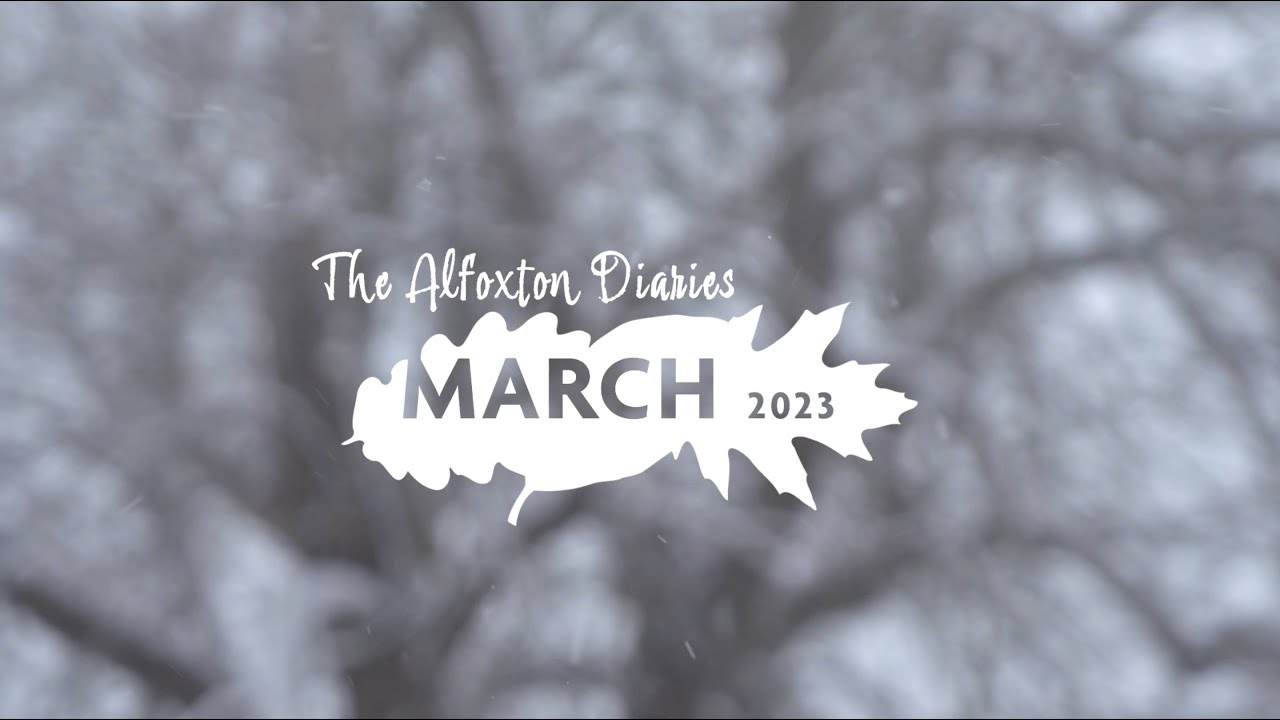 The Alfoxton Diaries - March 2023