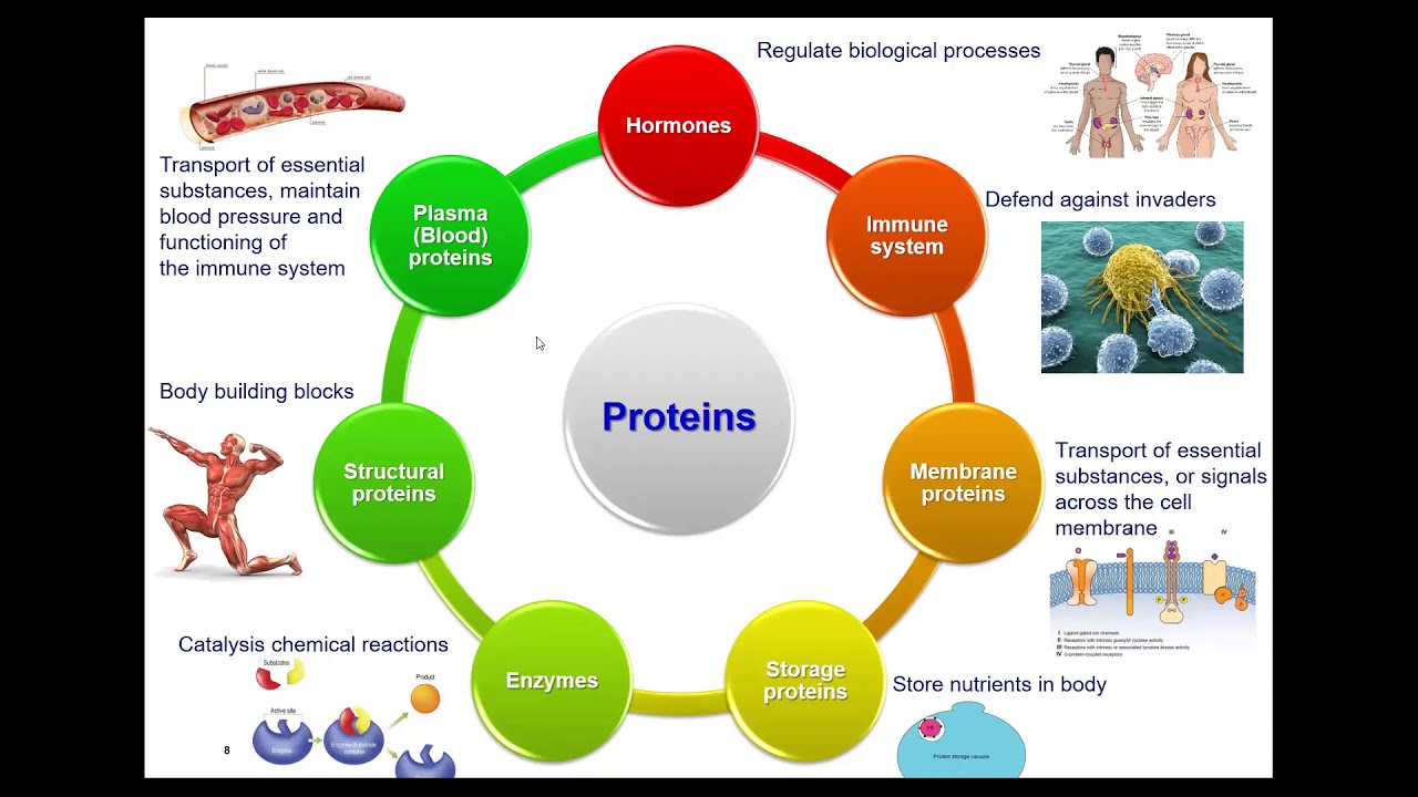 Introduction to Computer-Aided Drug Design