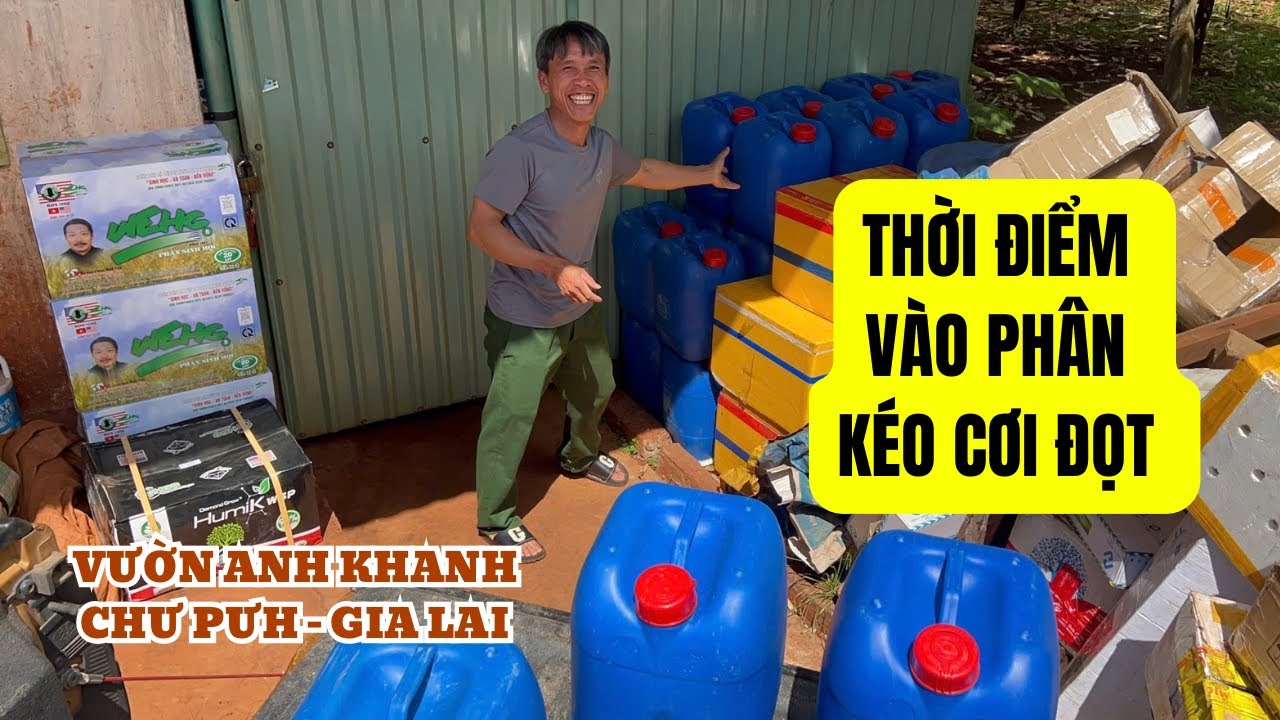 CỠ HOA LÝ TƯỞNG VÀO PHÂN KÉO ĐỌT 