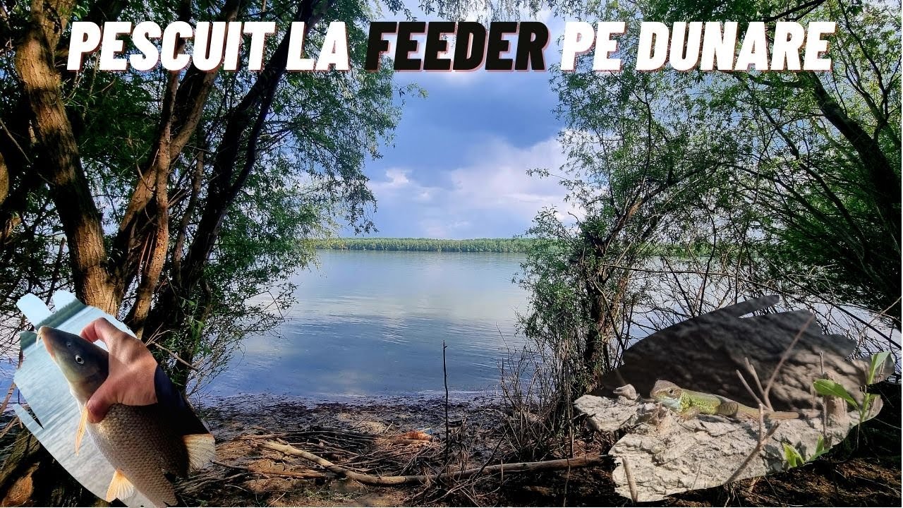 Pescuit la Feeder pe Dunare: Ultima partida inainte de prohibitie
