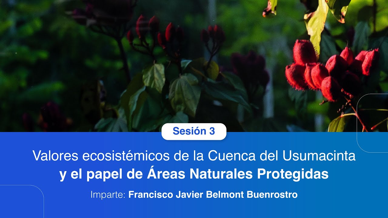 Sesión 3: Valores ecosistémicos de la Cuenca del Usumacinta y el papel de Áreas Naturales Protegidas