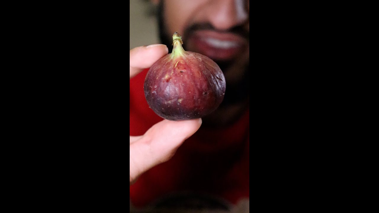 My First Time Trying a FIG