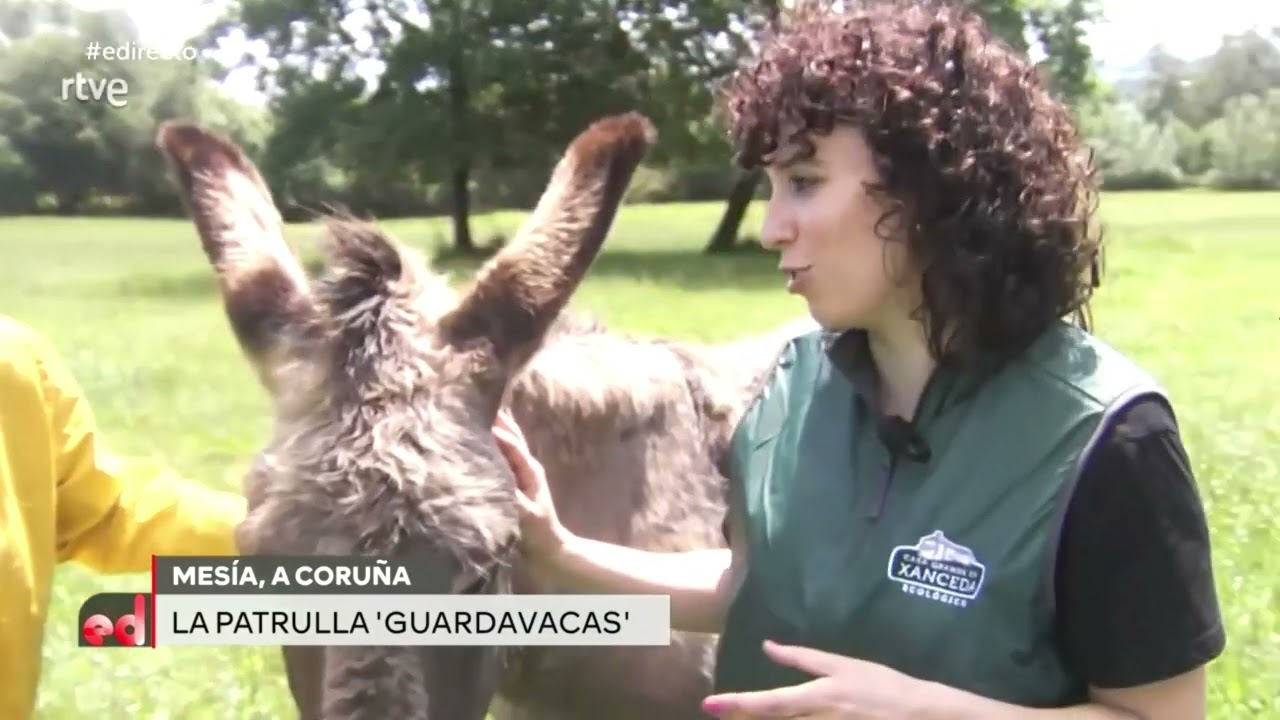 Reportaje en España Directo, de TVE