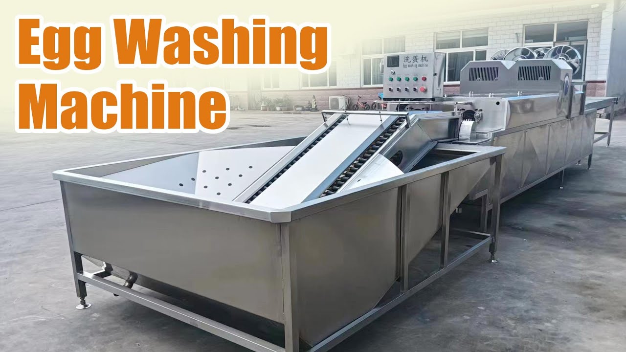 How Does an Egg Washing Machine Work? | Full Process Explained #egg #washing #foodprocessing