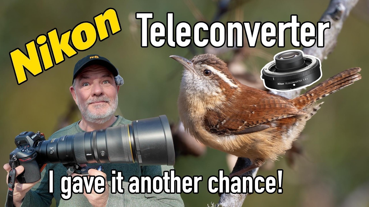 Телеконвертер Nikon Z 1.4 Z8 600 PF для съемки птиц