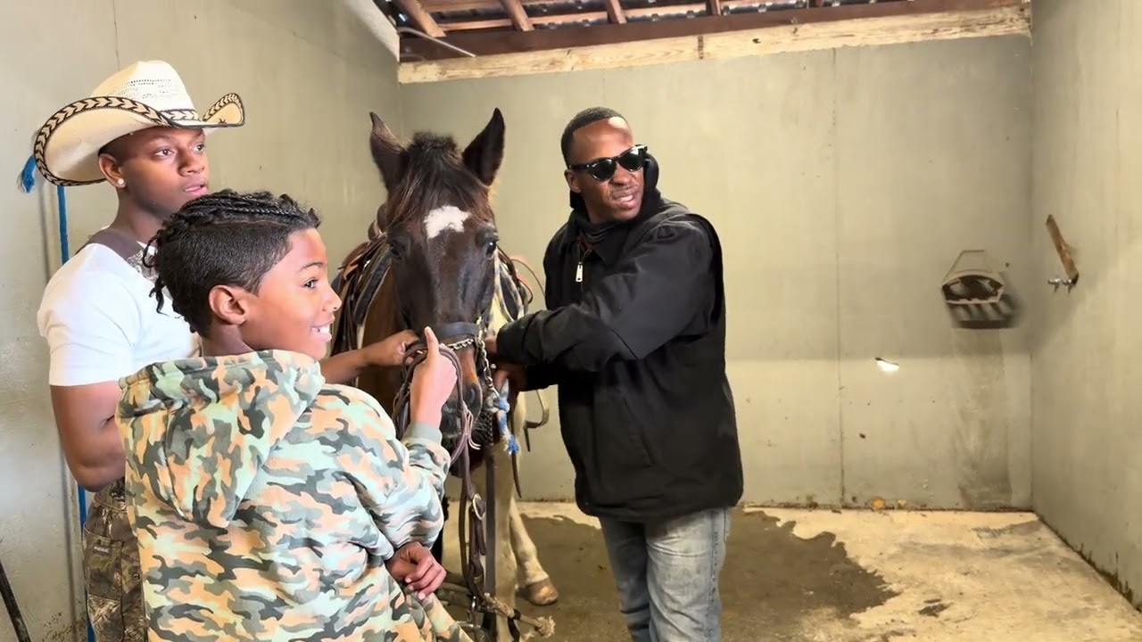 Day 2 Of Breaking My New Horse &ldquo;Roscoe&rdquo;