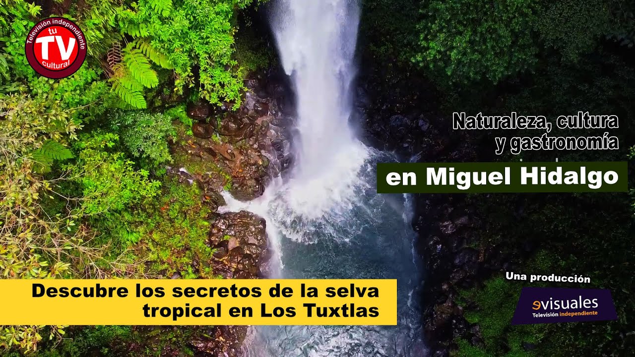 Descubre los secretos de la selva tropical en Los Tuxtlas